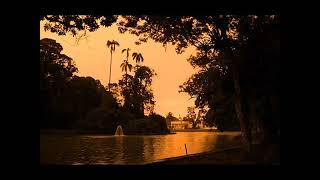 Download lagu KOES BERSAUDARA PAGI YG INDAH SEKALI mp3