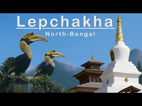 Lepchakha Treak | Buxa fort | Dooars | Offbeat Dooars | North Bengal | Homestay | Hornbill Birds
