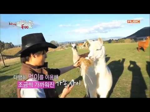 [Show] 130611 f(Amber) - Family Reunion @ Amazing f(x) E03 [Cut]