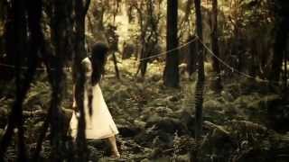 The Paper Kites Bloom Official Music Video