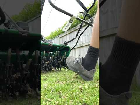 満足のいく芝生エアレーション