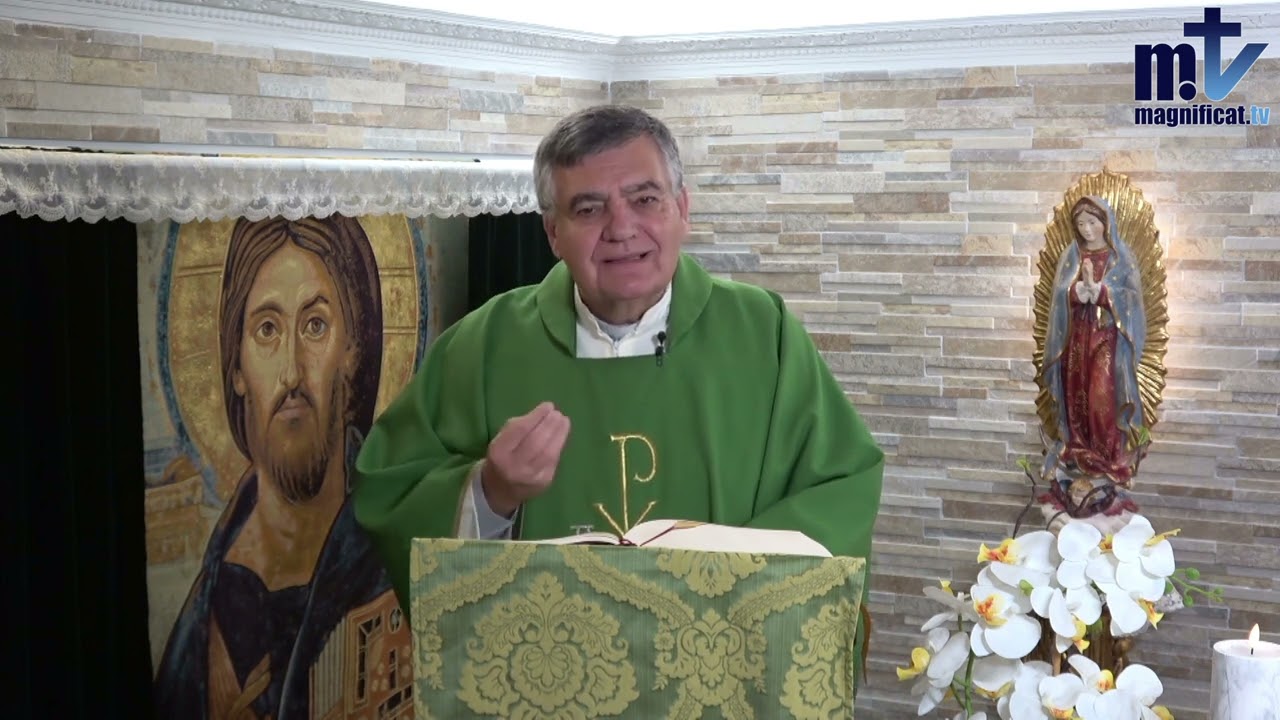 Lo primero es el agradecimiento |Miércoles, XXXII semana del T. O.|13-11-24 | P. Santiago Martín, FM