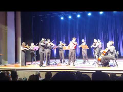 Guido Sant'anna, solista, e Orquestra UFMT em Cordas,  tocam concerto de Haydn.