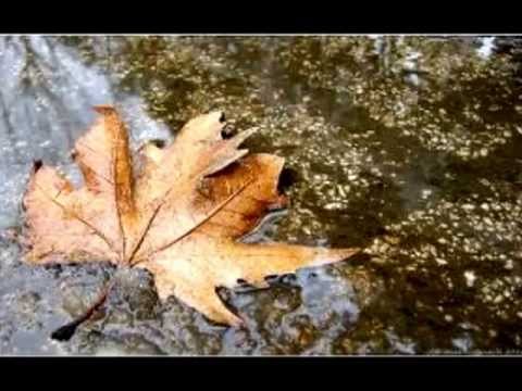 Neşet Ertaş  Sanki Sam Yelisin