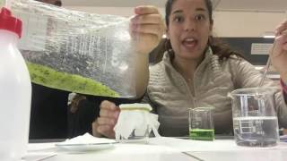 Esperimento di scienze: estrarre il DNA dal kiwi