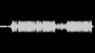 T. Raumschmiere – Rabaukendisko (The Bug’s Dancehell mix feat. Ras B)