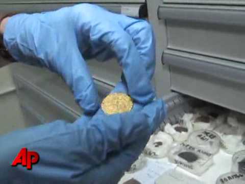 The Sunken Treasure of the Mary Rose