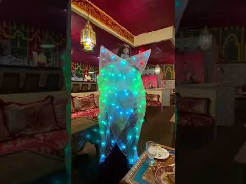 Promotional video thumbnail 2 for Linwe Telperion Belly Dance