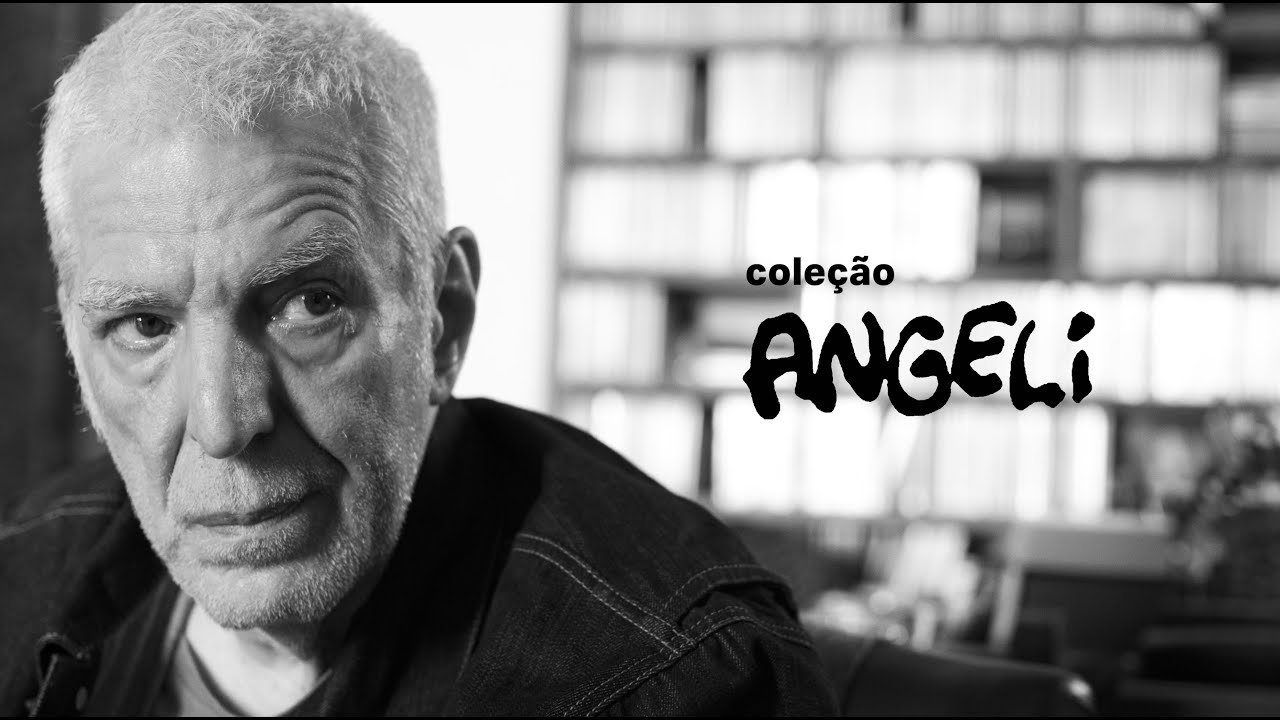 Coleção Angeli: a chegada do acervo