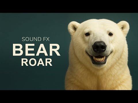 Bear Roar - The Audio That Haunts Me
