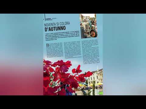 Anteprima del numero di Novembre 2025 de: "Il Basso Vicentino"