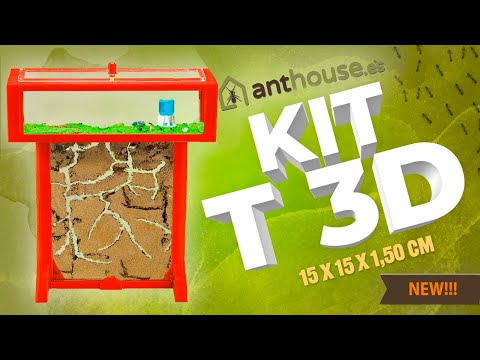 KIT T 3D, Best antfarm of SAND in the Hobby!