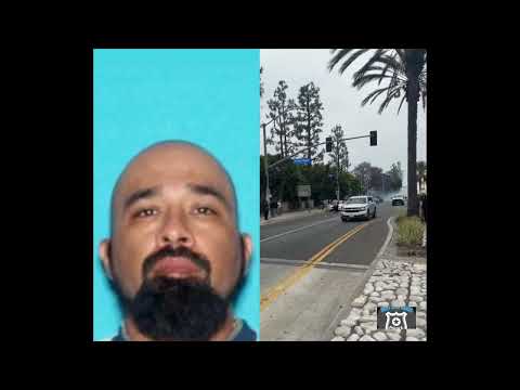 Man Hunt For Suspect Throwing Rocks at Los Angelos Police Has Begun!