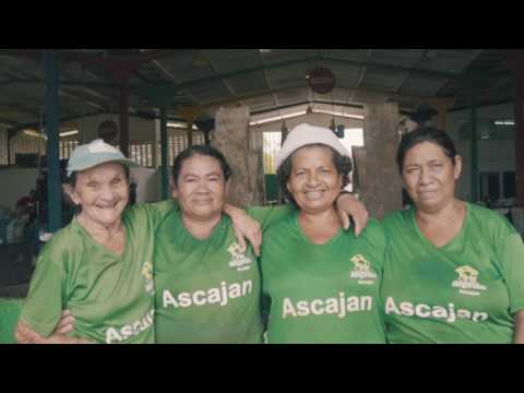 Ascajan - Rede Ceará