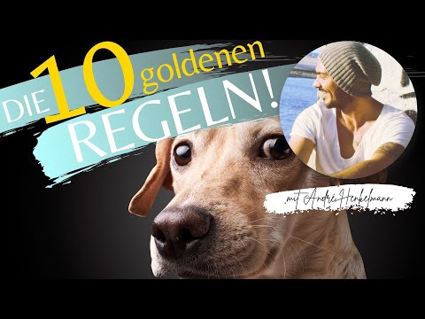Das Alter, in dem Prostatakrebs entwickelt Ob Prostatitis auftreten wegen einer Erkältung