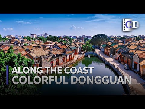 Dongguan, uma cidade colorida “ao longo da costa” | Documentário da China