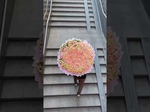 10 ноября 2024 г.