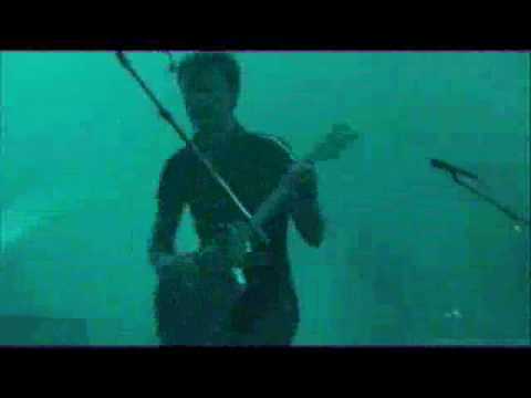 all for you sophia with lyrics