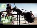 Killer Ants Horror HD Full Movie In English