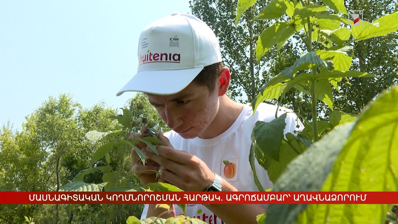 Մասնագիտական կողմնորոշման հարթակ. ագրոճամբար՝ Աղավնաձորում