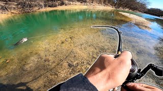 INSANE Bass Eat in CRYSTAL CLEAR Creek! (HFDD PT 2)
