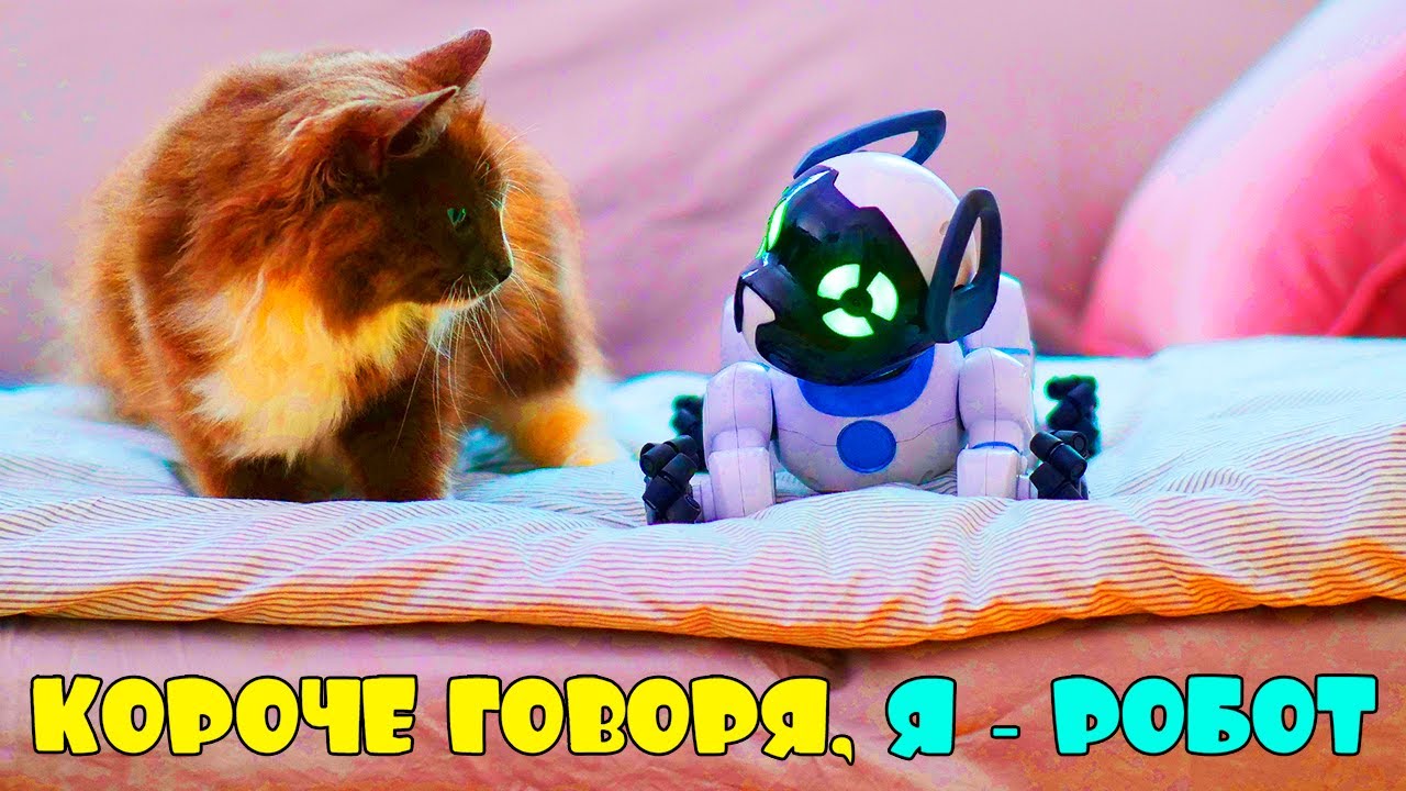 МОЁ УТРО ГЛАЗАМИ СОБАКИ РОБОТА - КОРОЧЕ ГОВОРЯ, Я СОБАКА РОБОТ