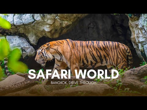 Safari World Bangkok — Drive-Through