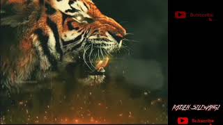 Download lagu Story Wa Macan putih keren mp3