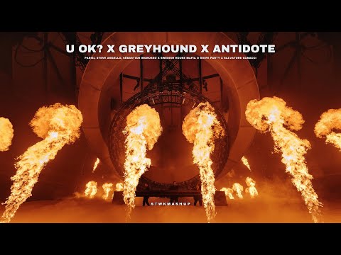U OK? x Greyhound x Antidote