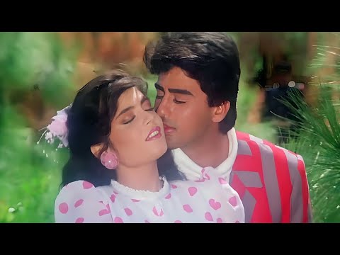 Tumhe Chhede Hawa Chanchal | Kumar Sanu,Alka Yagnik | Ayub Khan,Samyukta Singh