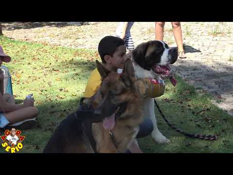 1ª Cãominhada de Juquitiba 2019 realização Eduardo da Associação do Bairro da Palmeira