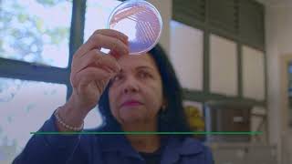 Miniatura do vídeo