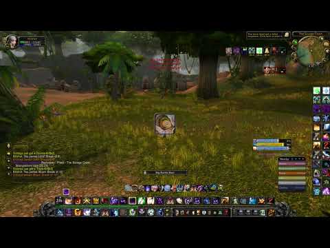 Ganking horde in Stranglethorn Vale   Warmane Icecrown revenge