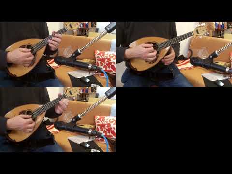 Mandoline lernen - Kapitel 6 - Spaziergang - Sehr leichtes Trio (Tutorial)