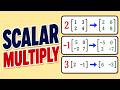 Multiplying A Matrix By A Number Scalar Multiplication