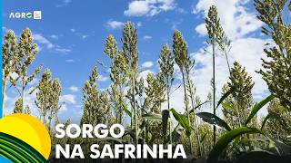 Miniatura do vídeo