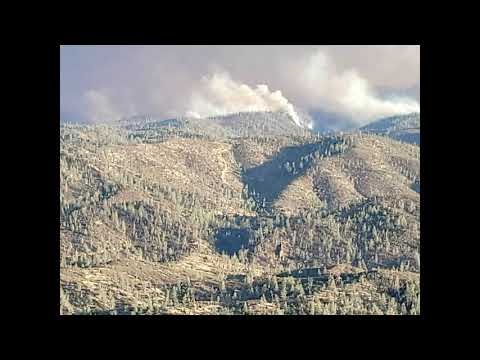 Raj Nplaim Tshuab Tau Kho Siab Heev Li.