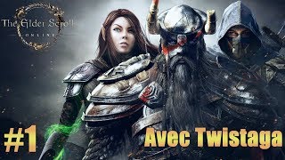 Les Chroniques de Tamriel - Réveil à Morneroc (The Elder Scrolls Online #1)