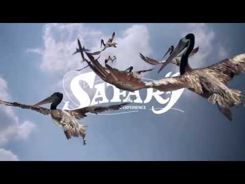 SAFARI 009 OPEN AIR 03 ENERO 2015 - HD