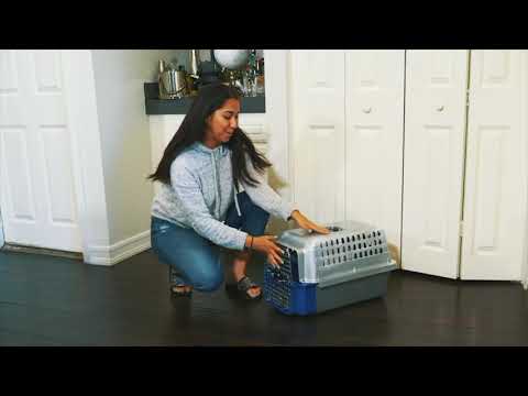 Calm Carrier Eliminates Fear, Anxiety & Stress for Cat Travel