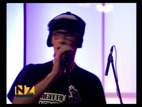 Digitalna Kokoš - Rafinerija