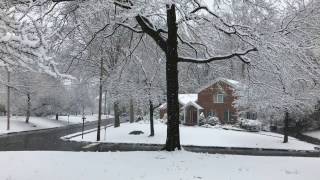 SnowDay in New Jersey - March 2017
