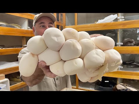 MOTHERLOAD of GIANT SNAKE EGGS  😱🥚