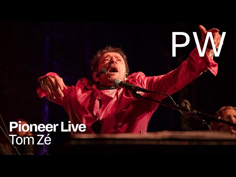 Tom Zé Performs Live at Pioneer Works