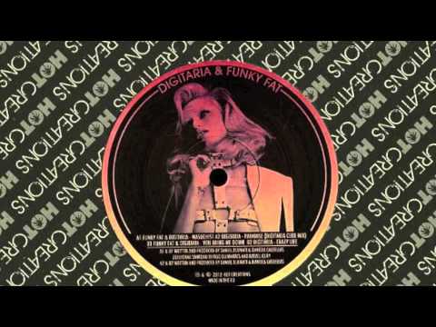 Funky Fat & Digitaria - The Bridge