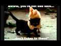 Try Not To Laugh