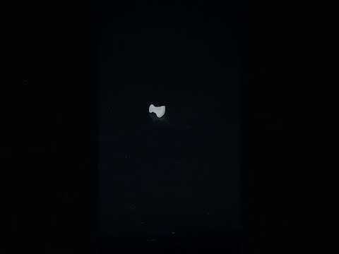 YouTube 썸네일