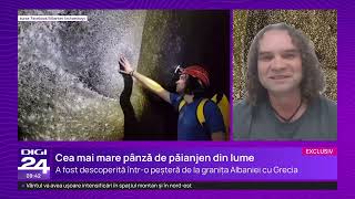 „Ceva extraterestru”. Cea mai mare pânză de păianjen din lume, descoperită de un cercetător român