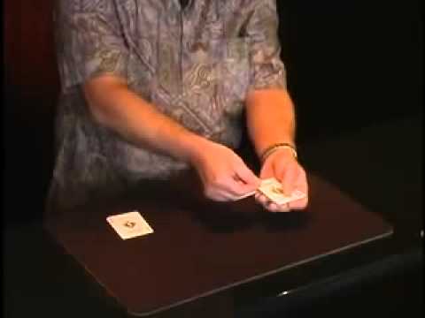 The Royal Scam by John Bannon - Magicland.se