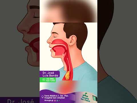 Jose Luis Banda-21